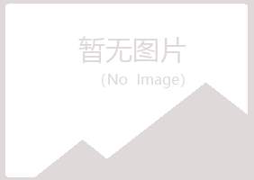 阳山县浮夸采矿有限公司